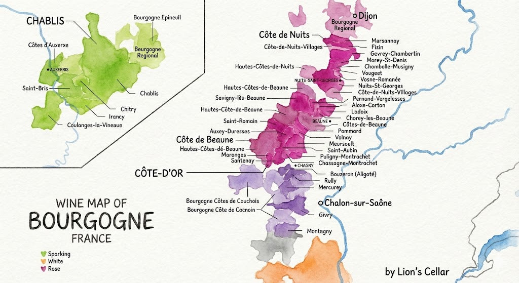 Burgundy wine region map showing Chablis, Côte d'Or, Côte Chalonnaise, Mâconnais and Beaujolais appellations - complete guide for Australian wine lovers